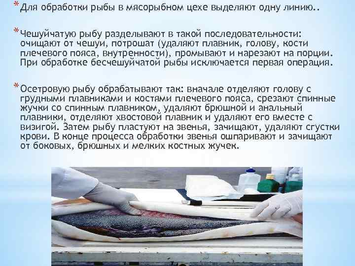 * Для обработки рыбы в мясорыбном цехе выделяют одну линию. . * Чешуйчатую рыбу
