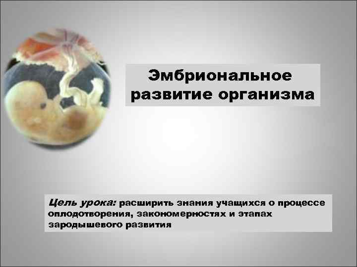 Эмбриональное развитие организма Цель урока: расширить знания учащихся о процессе оплодотворения, закономерностях и этапах