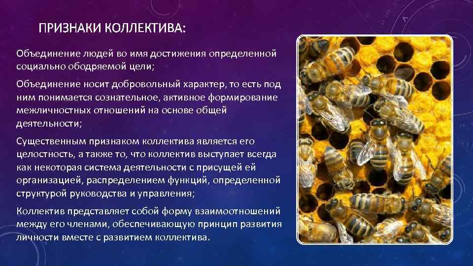 ПРИЗНАКИ КОЛЛЕКТИВА: Объединение людей во имя достижения определенной социально ободряемой цели; Объединение носит добровольный