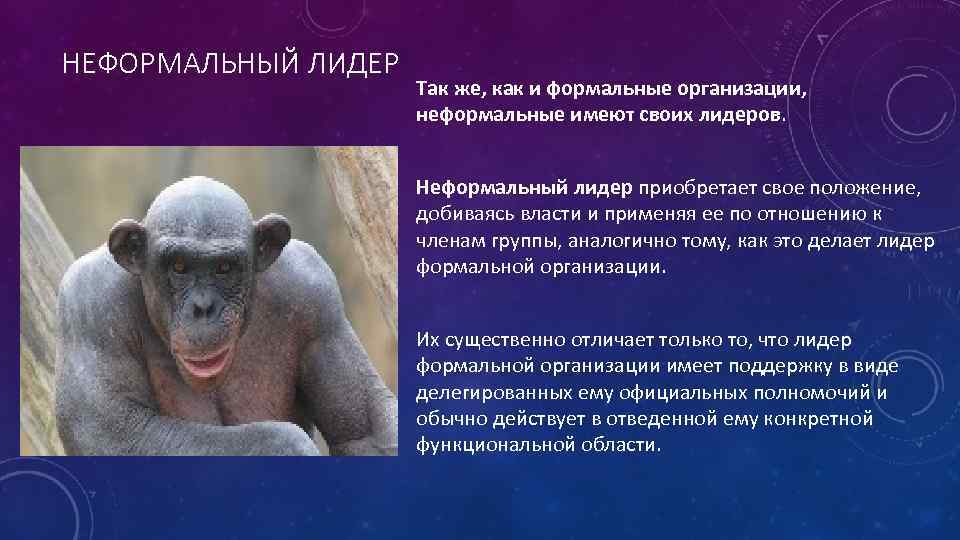 НЕФОРМАЛЬНЫЙ ЛИДЕР Так же, как и формальные организации, неформальные имеют своих лидеров. Неформальный лидер