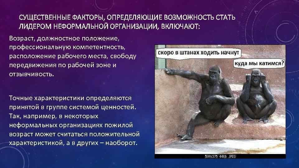 СУЩЕСТВЕННЫЕ ФАКТОРЫ, ОПРЕДЕЛЯЮЩИЕ ВОЗМОЖНОСТЬ СТАТЬ ЛИДЕРОМ НЕФОРМАЛЬНОЙ ОРГАНИЗАЦИИ, ВКЛЮЧАЮТ: Возраст, должностное положение, профессиональную компетентность,