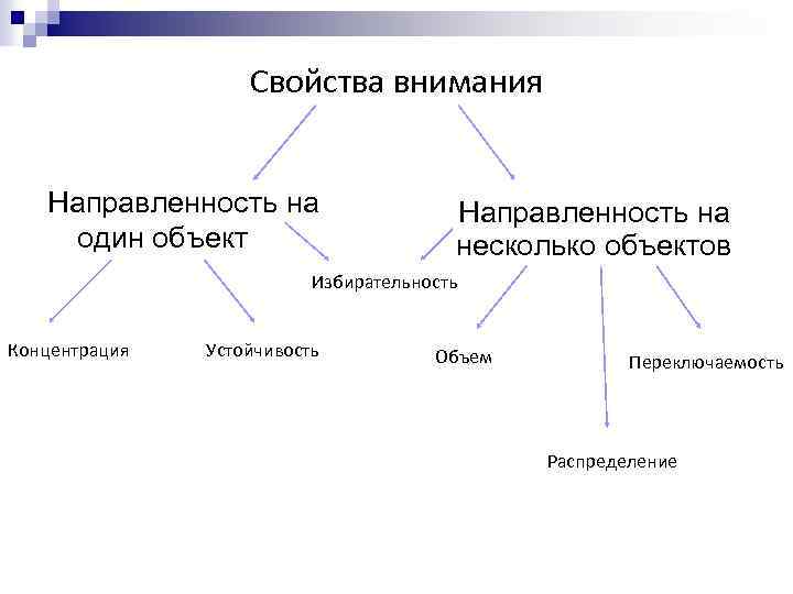 Свойства внимания Направленность на один объект Направленность на несколько объектов Избирательность Концентрация Устойчивость Объем