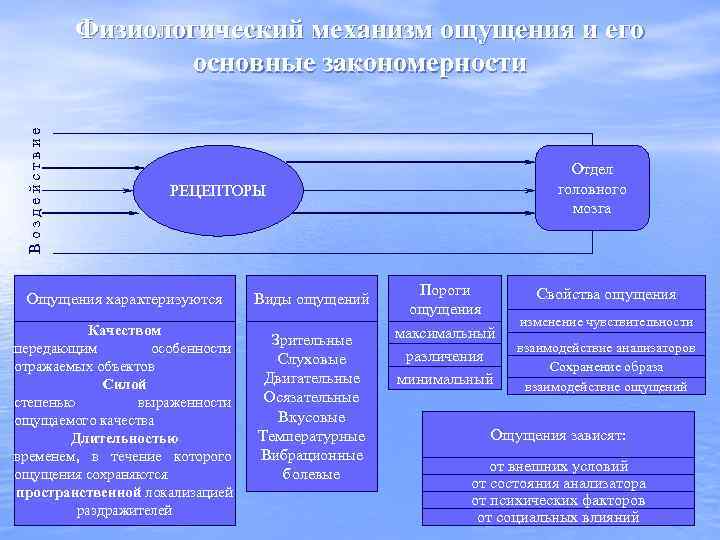 Воздействие Физиологический механизм ощущения и его основные закономерности Отдел головного мозга РЕЦЕПТОРЫ Ощущения характеризуются