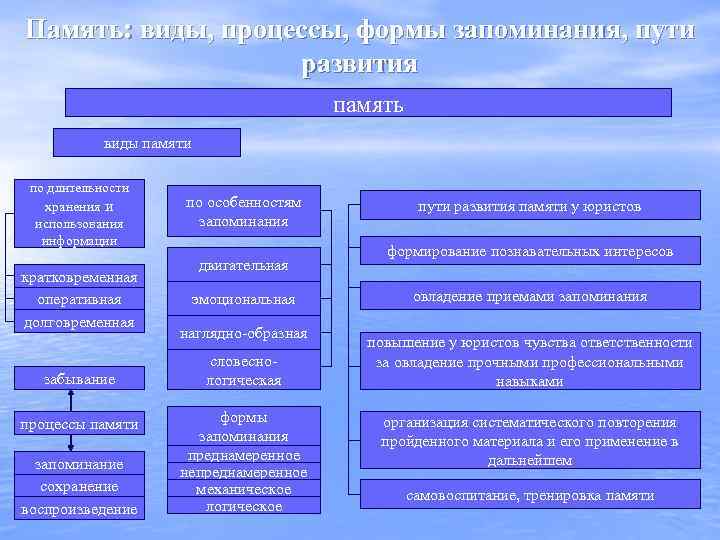 Память: виды, процессы, формы запоминания, пути развития память виды памяти по длительности хранения и