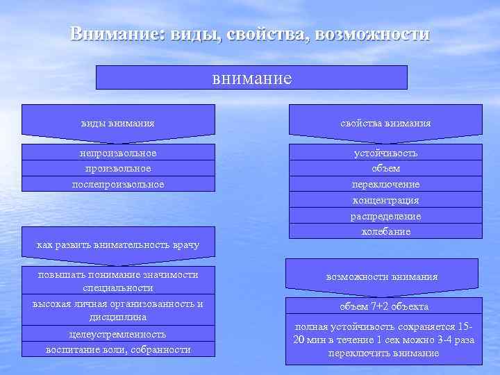 Внимание: виды, свойства, возможности внимание виды внимания свойства внимания непроизвольное послепроизвольное устойчивость объем переключение