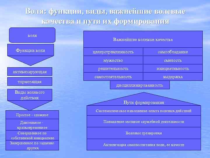 Воля: функции, виды, важнейшие волевые качества и пути их формирования воля Функции воли Важнейшие