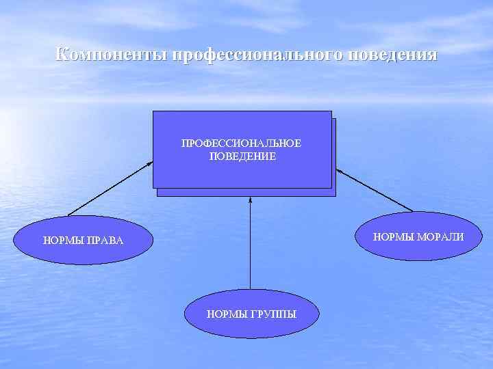Компоненты профессионального поведения ПРОФЕССИОНАЛЬНОЕ ПОВЕДЕНИЕ НОРМЫ МОРАЛИ НОРМЫ ПРАВА НОРМЫ ГРУППЫ 