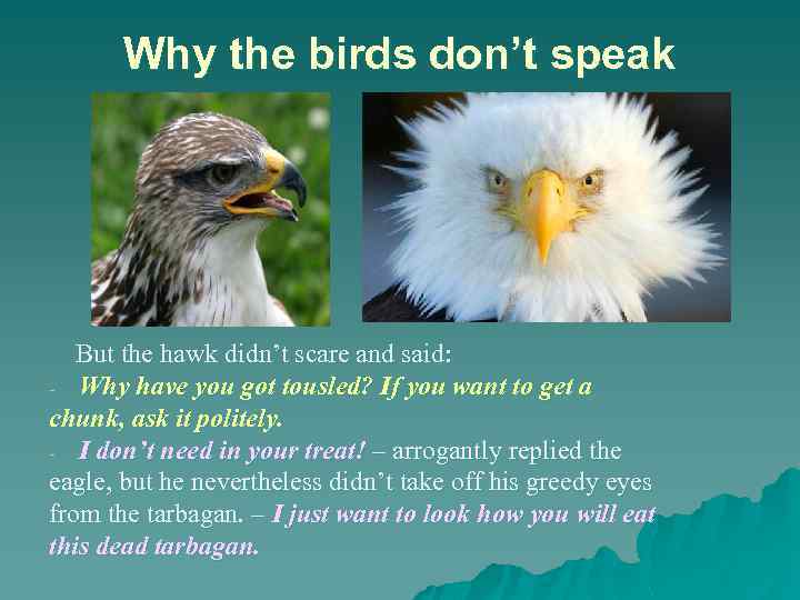 Why the birds don’t speak But the hawk didn’t scare and said: - Why