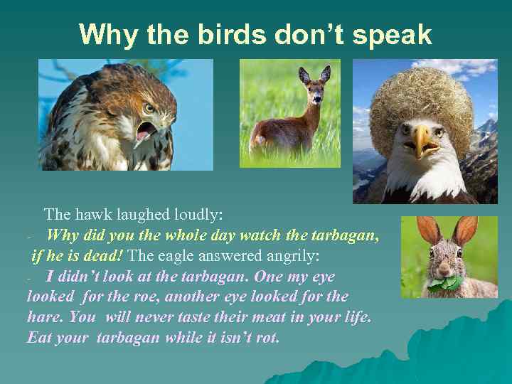 Why the birds don’t speak The hawk laughed loudly: - Why did you the