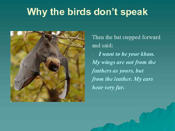 Why the birds don’t speak Then the bat stepped forward and said: - I