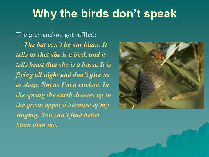 Why the birds don’t speak The grey cuckoo got ruffled: - The bat can’t