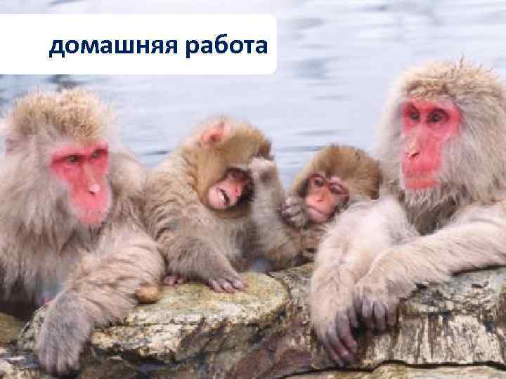 домашняя работа 