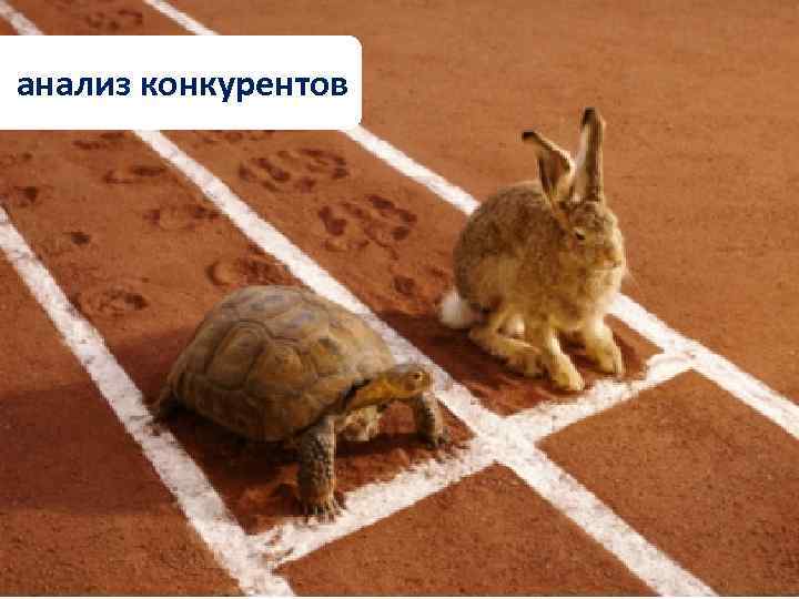 анализ конкурентов 