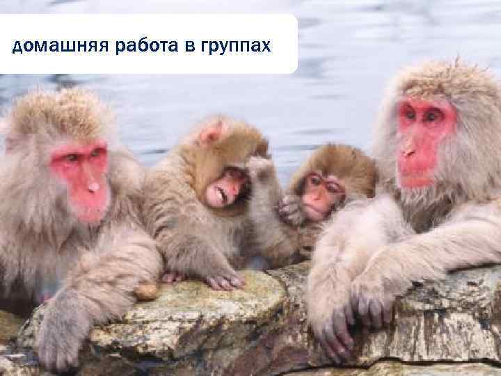 домашняя работа в группах 57 