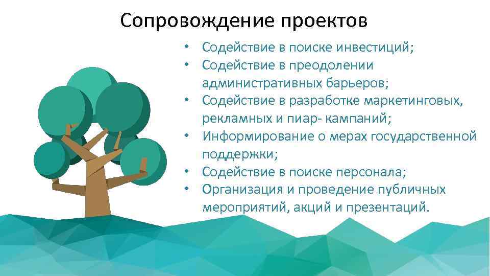 Сопровождение проектов • Содействие в поиске инвестиций; • Содействие в преодолении административных барьеров; •