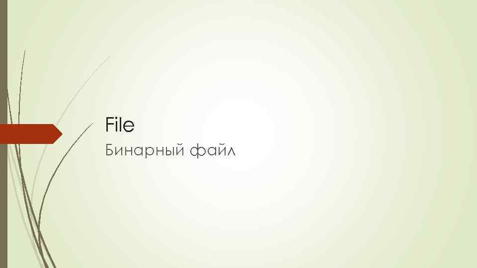 File Бинарный файл 