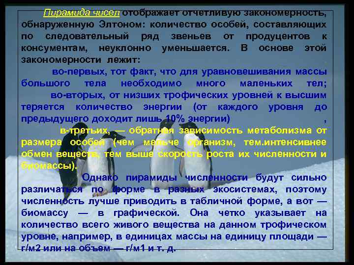 Пирамида чисел отображает отчетливую закономерность, обнаруженную Элтоном: количество особей, составляющих по следовательный ряд звеньев