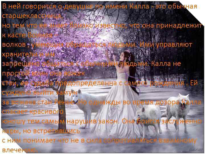 В ней говорится о девушке по имени Калла - это обычная старшеклассница, но тем
