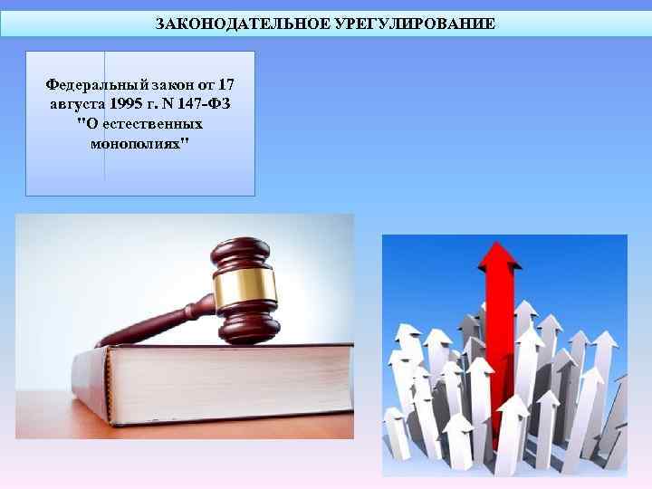 ЗАКОНОДАТЕЛЬНОЕ УРЕГУЛИРОВАНИЕ Федеральный закон от 17 августа 1995 г. N 147 -ФЗ 