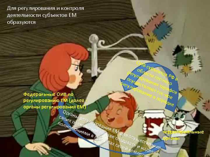 Для регулирования и контроля деятельности субъектов ЕМ образуются ОИ В с обл убъек рег