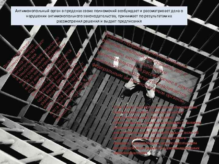 Антимонопольный орган в пределах своих полномочий возбуждает и рассматривает дела о нарушении антимонопольного законодательства,