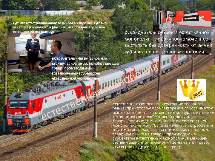 субъект естественной монополии - хозяйствующий субъект, занятый производством (реализацией) товаров в условиях естественной монополии;