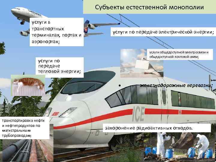 Субъекты естественной монополии услуги в транспортных терминалах, портах и аэропортах; услуги по передаче электрической