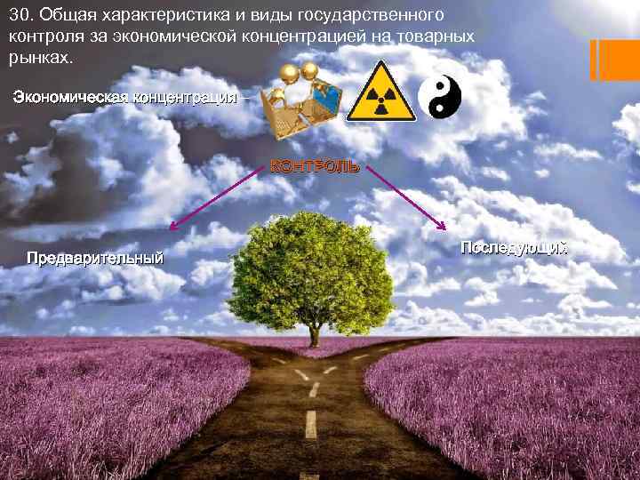 30. Общая характеристика и виды государственного контроля за экономической концентрацией на товарных рынках. Экономическая