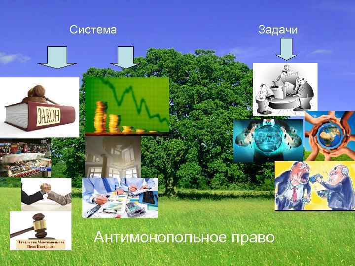  Система Задачи Антимонопольное право 