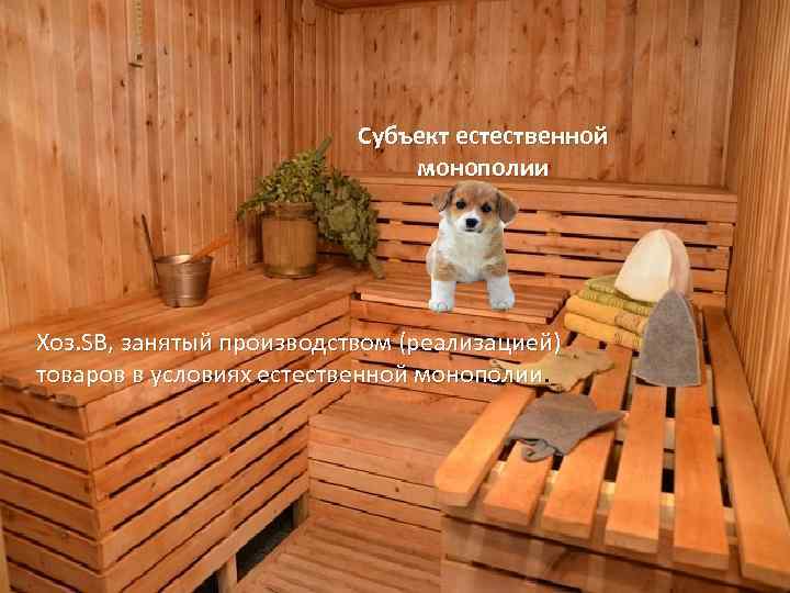 Субъект естественной монополии Хоз. SB, занятый производством (реализацией) товаров в условиях естественной монополии 