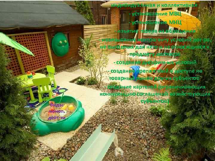 Виды моноп. деят-ти индивидуальная и коллективная - установление МВЦ - установление МНЦ - изъятие