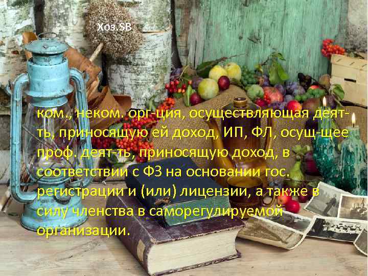 Хоз. SB ком. , неком. орг-ция, осуществляющая деятть, приносящую ей доход, ИП, ФЛ, осущ-щее