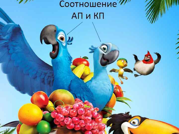 Соотношение АП и КП 