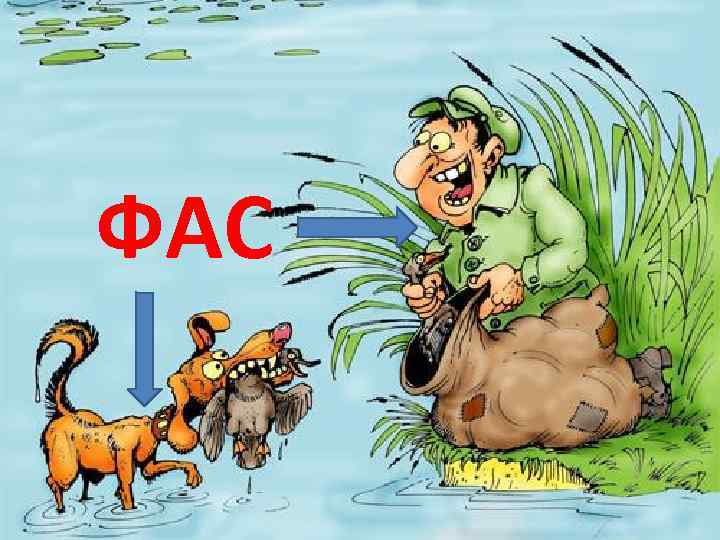 ФАС 