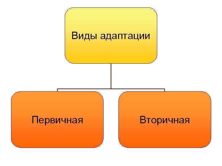 Виды адаптации Первичная Вторичная 