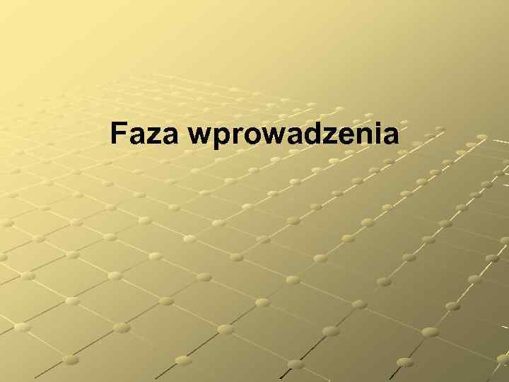 Faza wprowadzenia 