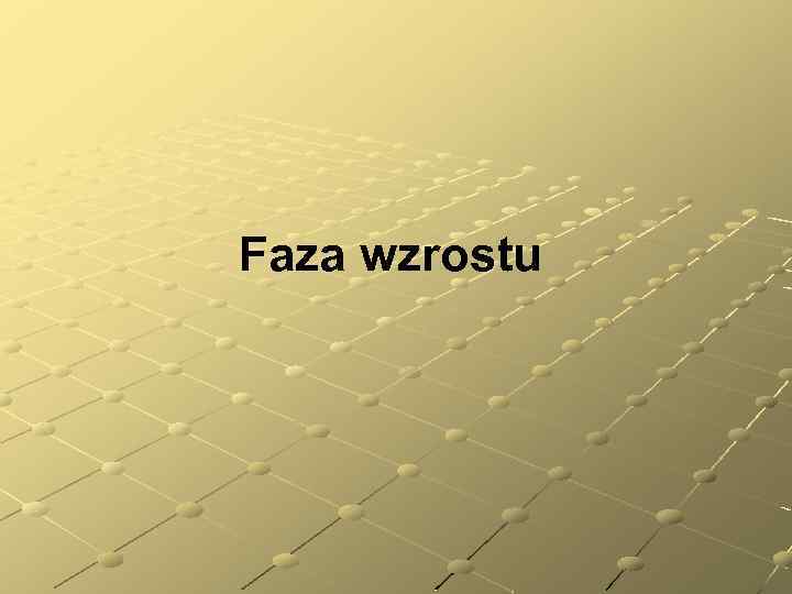 Faza wzrostu 