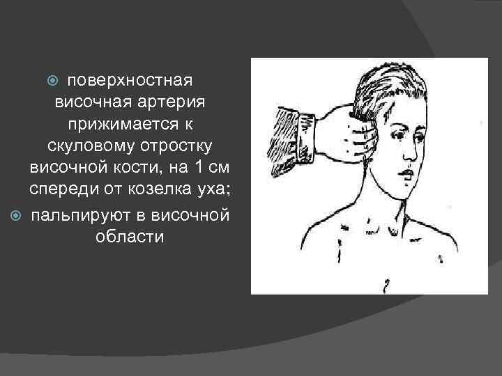 поверхностная височная артерия прижимается к скуловому отростку височной кости, на 1 см спереди от