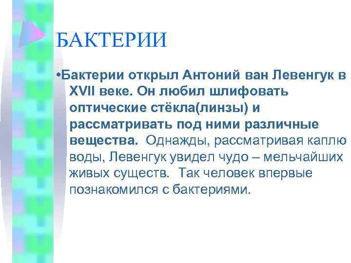 БАКТЕРИИ • Бактерии открыл Антоний ван Левенгук в XVll веке. Он любил шлифовать оптические