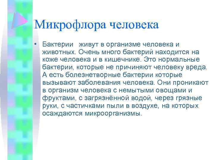 Микрофлора человека • Бактерии живут в организме человека и животных. Очень много бактерий находится