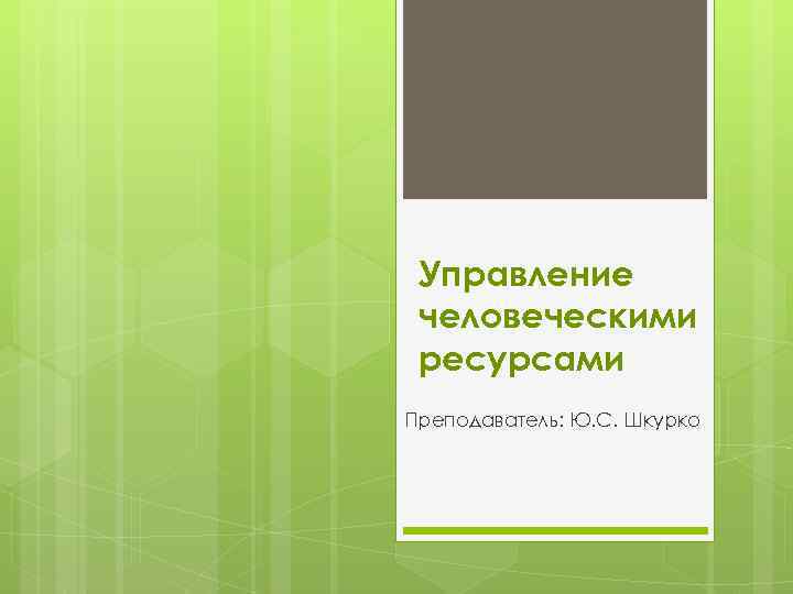 Управление человеческими ресурсами Преподаватель: Ю. С. Шкурко 