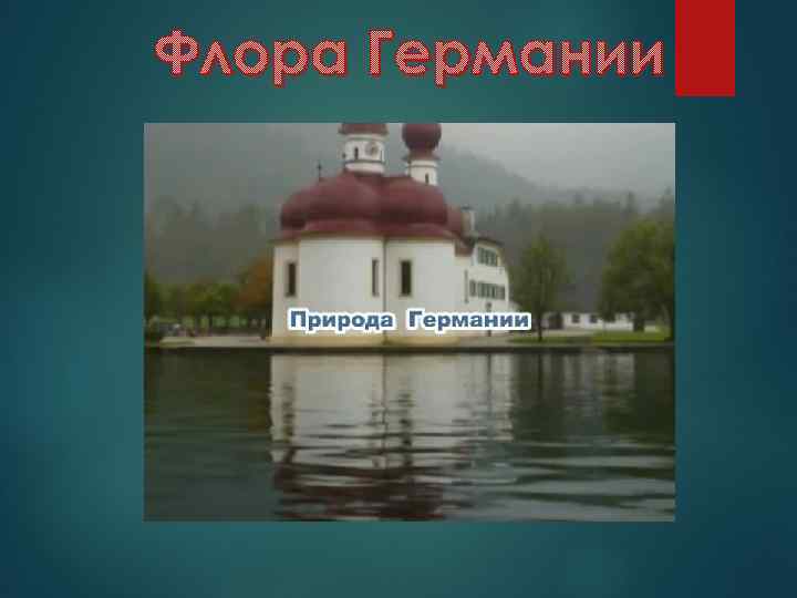 Флора Германии 