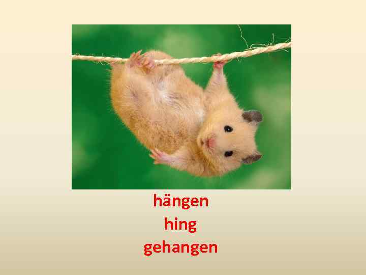 hängen hing gehangen 