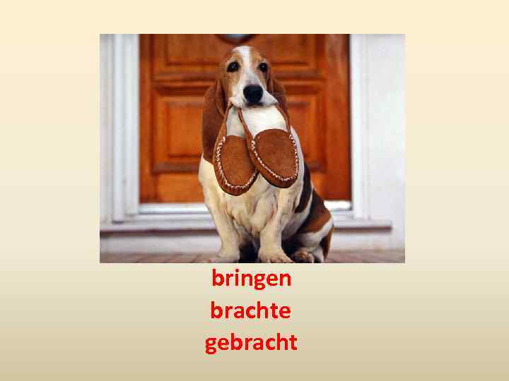 bringen brachte gebracht 