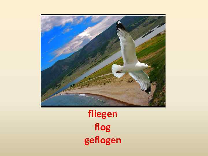 fliegen flog geflogen 