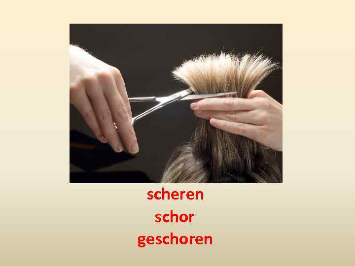 scheren schor geschoren 