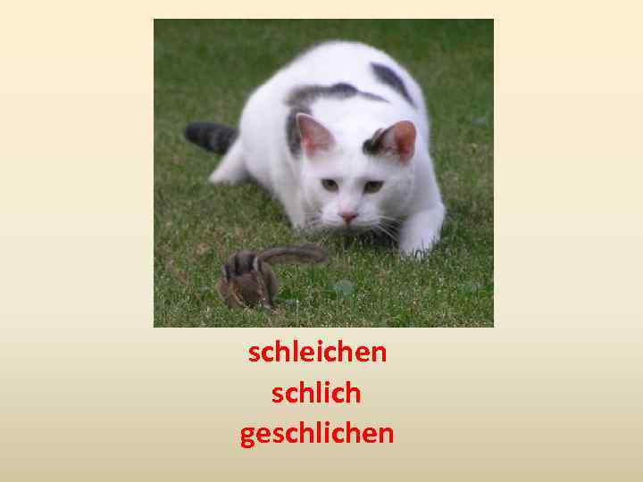 schleichen schlich geschlichen 