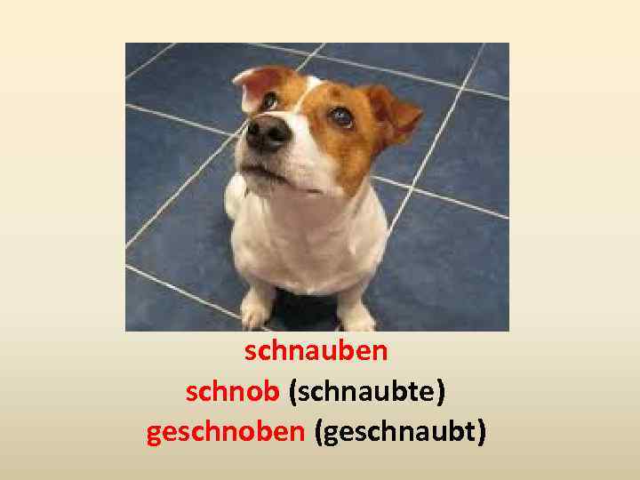 schnauben schnob (schnaubte) geschnoben (geschnaubt) 