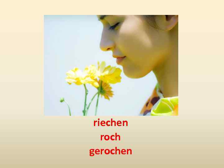 riechen roch gerochen 