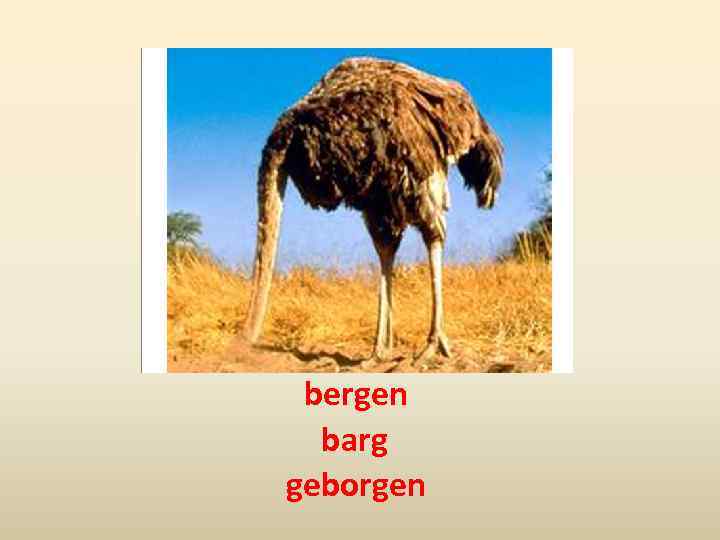 bergen barg geborgen 